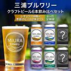 クラフトビール定番4本と季節のビール2本飲み比べセット