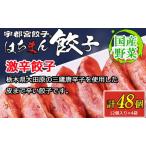 宇都宮餃子 はちまん餃子 激辛餃子 48個
