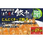 宇都宮餃子 はちまん餃子 にんにくチーズ餃子 48個