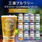 クラフトビール 12本飲み比べセット M110-T06
