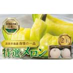 ふるさと納税 先行予約 特選メロン 2玉 マスクメロン (1玉 1.9kg前後) 渥美半島産 マルタケ農園 メロン めろん 箱詰め フルーツ 果物 愛知県 田.. 愛知県田原市