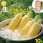 朝採れ 八ヶ岳生とうもろこし 10本〈2027年7月下旬~
