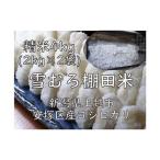 棚田米 コシヒカリ 雪中貯蔵 精白米 4kg