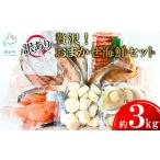 贅沢 豪華 訳あり おまかせ セット 約3kg