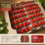 豊浦いちご けんたろう 30玉入り