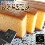 特製米粉かすてら 四万十五三焼 約250g×3本