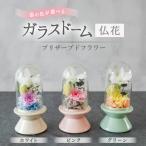 ガラスドーム仏花 お供え花 コンパクトなお仏壇にぴったり…