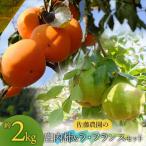 梨 令和8年産 ラ フランス Lサイズ 約2kg