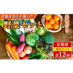 野菜のプロ40年が届ける 厳選野菜セット