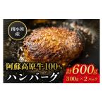 南小 阿蘇高原牛 牛100% ハンバーグ 600g