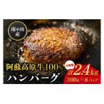 南小 阿蘇高原牛 牛100% ハンバーグ 2.4kg