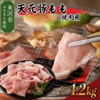 豚肉 天元豚 もも 焼肉用 1.2kg