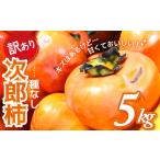ふるさと納税 【令和7年産柿/先行予約】《 訳あり 》5kg 次郎柿 たねなし 柿 柿 柿 柿 柿 GF-17 三重県多気町