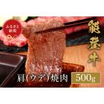 能登牛 牛肩 ウデ 焼肉500g 200g+300g