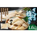 さばの塩焼き 合計1.6kg