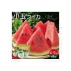 ふるさと納税 1225 遊佐町産小玉スイカ8kg 山形県遊佐町