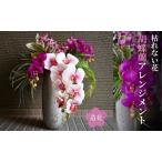 胡蝶蘭 アレンジメント ファレノ フェイクグリーン