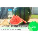 ふるさと納税 尾花沢すいか 大玉 4L×2玉 2025年産 令和7年産 7月下旬~8月上旬発送 人気 オススメ すいか BBQ 家計応援 消費応援 すいか .. 山形県大石田町