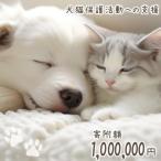 犬猫保護活動への支援 100万円分