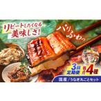 うなぎまるごとセット うなぎ 蒲焼 白焼き