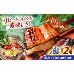 うなぎ蒲焼1尾&白焼き1尾セット うなぎ