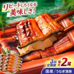 うなぎ蒲焼2尾 うなぎ ウナギ 鰻 蒲焼き 蒲焼