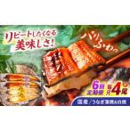 うなぎ蒲焼2尾&白焼き2尾セット うなぎ