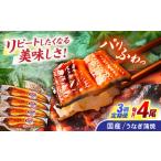 うなぎ蒲焼4尾 うなぎ ウナギ 鰻 蒲焼き 蒲焼