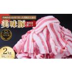 豚肉 SPF豚バラ肉 2kg