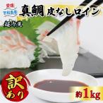 真鯛 訳あり 皮なしロイン 1kg