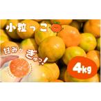 温州みかん 小粒っこ 4g