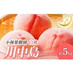 ふるさと納税 【2026年�