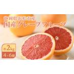 フルーツ グレープフルーツ約2kg 6個
