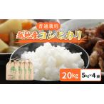 越地 こいち コシヒカリ 白米 計20kg