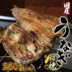 うなぎ 炭火焼 250g
