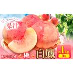 桃 紀の里の桃 約1kg
