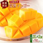 2027年出荷 宮崎 完熟マンゴー2L×2玉 計700g以上