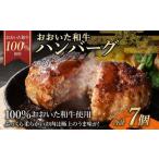 175-1191 おおいた和牛 ハンバーグ 7個