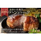 175-1192 おおいた和牛 ハンバーグ 17個