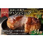 175-1193 おおいた和牛 ハンバーグ 34個