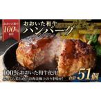 175-1194 おおいた和牛 ハンバーグ 51個