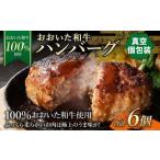 175-1196 おおいた和牛 ハンバーグ 6個