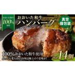 175-1197 おおいた和牛 ハンバーグ 14個