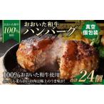 175-1198 おおいた和牛 ハンバーグ 24個