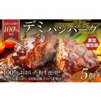 175-1201 デミ ハンバーグ 5個