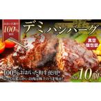 175-1202 デミ ハンバーグ 10個