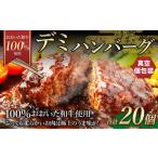 175-1203 デミ ハンバーグ 20個