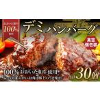 175-1204 デミ ハンバーグ 30個