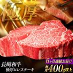 極厚ヒレステーキ 計400g以上