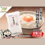ふるさと納税 【定期�